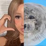 Profilbild von seal