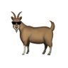 Parker 🐐 profil fotoğrafı
