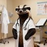 Dr.Honey Badger 的头像