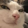 Tadek's profile picture