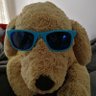 Profilbild von Web3神月