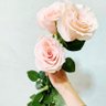 吳美珠's profile picture