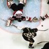 SABRESFAN95's profile picture