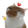 Profilbild von Rui🔴 💊 ⌘🛠🔆🍊,💊