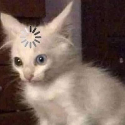 MJ ♡'s profile picture