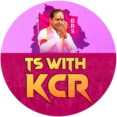 TSwithKCR's profile picture