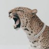 ๐ฟ๐ฆ I am a proud ๐ฟ๐ฆ's profile picture