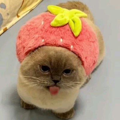 bie ᰔᩚ's profile picture