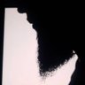 علي محمد تام 的头像