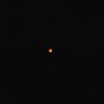 Profilbild von The Morning Star