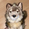 Profilbild von RanefatWolf