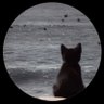 夜凪 🐈⬛➰@く profil fotoğrafı