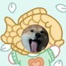 Profilbild von 北极星的指引