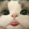 Profilbild von fotmochitobeyi๐ฝ๐