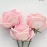 @ام سعاد profil fotoğrafı