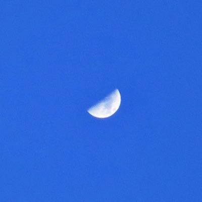 il_ililililili's profile picture