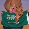 Profilbild von سكون الليل