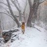 Emad Heydari profil fotoğrafı