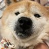 ハルンケア尿もれ 的头像
