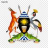 Profilbild von AliberatedNewUganda