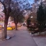 Ankara_Murat's profile picture