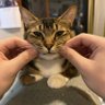 Profilbild von リエ☆シド推し