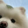 愿许是养只猫 的头像
