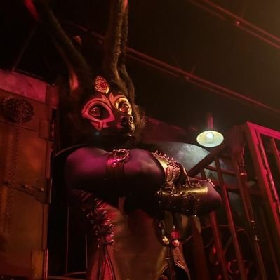 NaughtyAnubis's profile picture