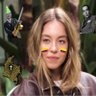 Profilbild von Sara