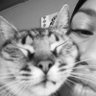 Profilbild von guadi ｡ °* :$