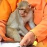 चूनजीबी's profile picture
