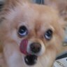 ウリ坊's profile picture