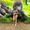 Profilbild von Faith The Bushgirl 🦁