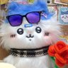 英仙座X-5's profile picture