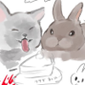 あや。's profile picture