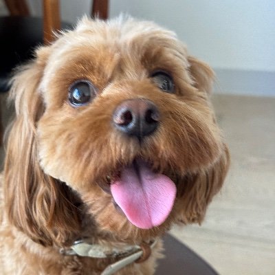 bmcarthur20's profile picture