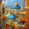 فاطمة الحجري's profile picture