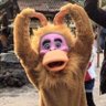y n's profile picture