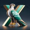 السعوديه العظمى🤷‍♂️بلادي's profile picture