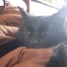 LABRUNE Liz's profile picture