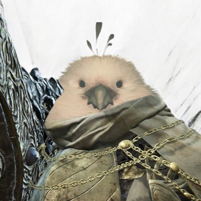 きなこごはん's profile picture