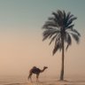 khaled profil fotoğrafı
