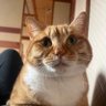 川豊's profile picture