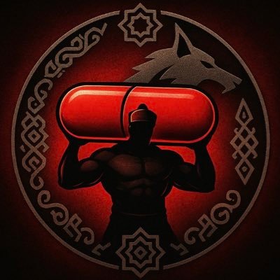 Türk Pill's profile picture