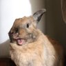jojo_deci's profile picture
