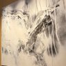 質屋 profil fotoğrafı