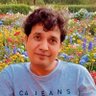 Raja Mustaqeem's profile picture