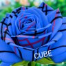 Фото профиля 💎キューブ 🪡🧵❤️💙💛💚🧡🤎💎*:'°☆