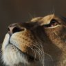 سارَّة profil fotoğrafı