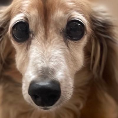 海's profile picture